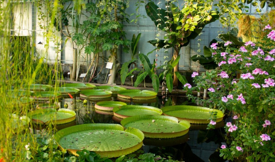 Botanical Garden of KIT, Karlsruhe, Germany, Germany